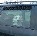 Trixie Griglia di Aerazione per Auto 24-70 cm per Cane