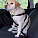 Pettorina e cintura Sicurezza per auto per cani