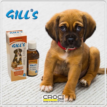 Gill's Puppy Trainer 50 ml Attrattivo per Cuccioli Cani e Gatti