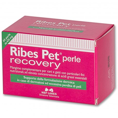 Ribes Pet Recovery 60 Perle Integratore Per Dermatite Prolungata Cane E Gatto