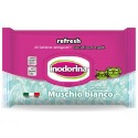 Inodorina Refresh Salviette Igieniche al Muschio Bianco 40 pz