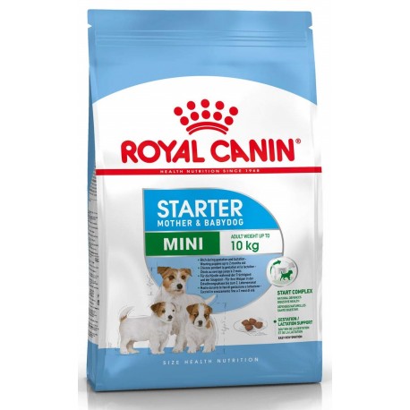 Royal Canin Mini Starter Mother and Babydog 1 kg Crocchette per Cuccioli di Cane