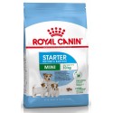 Royal Canin Mini Starter Mother and Babydog 1 kg Crocchette per Cuccioli di Cane