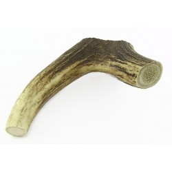 Corno di Cervo Taglia Media 50-75 gr per Cane