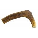 Corno di Cervo Taglia Large 75-150 gr per Cane