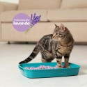 AqpetFriends Lettiera CattyGreen Sabbia per Gatti alla Soia Naturale profumazione Lavanda 6 Litri