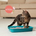 AqpetFriends Lettiera CattyGreen Sabbia per Gatti alla Soia Naturale profumazione Fiori di Pesco 6 Litri
