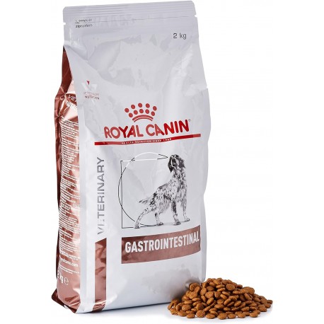 Royal Canin Gastrointestinal Veterinary 2 Kg Crocchette per cane
