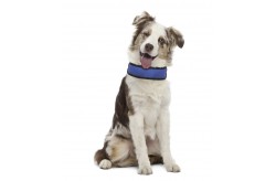 Fresh Collar collare refrigerante in nylon con rete per cane