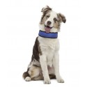 Fresh Collar collare refrigerante per cane nylon con rete