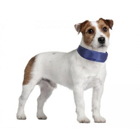 Collari refrigeranti per cani di misure diverse