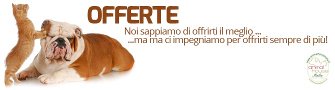 offerte e promozioni